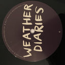 Weather Diaries | Mint (M) Mint (M)