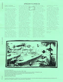 Rimarimba - On Dry Land | Mint (M) Mint (M)