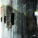 RIVET - On Feather and Wire |