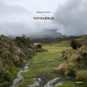 Topinambur |