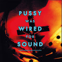 PRE-ORDER Robert And Punchdrunks Johnson - Pussy Was Wired For Sound [Orange Vinyl] [Vinyl]