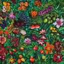 ROBERTO LANERI - South Of No Border |