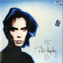 Peter Murphy - Holy Smoke | Mint (M) Mint (M)