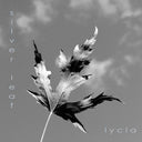 Low Crimes / Silver Leaf *GREY SWIRL*(VINYLY 7") | Mint (M) Mint (M)