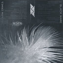 Low Crimes / Silver Leaf *GREY SWIRL*(VINYLY 7") | Mint (M) Mint (M)