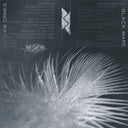 Black Mare - Low Crimes / Silver Leaf (VINYL 7") | Mint (M) Mint (M)