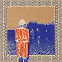 Telephone Free Landslide Victory (2025 RSD Exclusive, Clear Vinyl, Orange) | Mint (M) Mint (M)