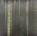 The Paper Kites - Evergreen (EVERGREEN MARBLE VINYL) | Mint (M) Mint (M)
