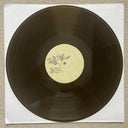 Picaresque (IEX: BLACK ICE VINYL) | Mint (M) Mint (M)