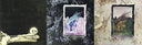 Led Zeppelin - Untitled: Deluxe Edition (180 GRAM VINYL) | Mint (M) Mint (M)