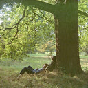 John Lennon - Plastic Ono Band (180 GRAM VINYL) | Mint (M) Mint (M)