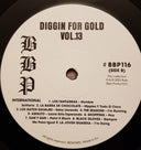 Various - Diggin' For Gold Vol 13 (A Collection Of Demented 60' R&B/Punk & Mesmerizing Pop.) | Mint (M) Mint (M)