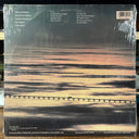 The Way It Is (VINYL) | Mint (M) Excellent (EX)