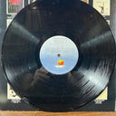 Marianne Faithfull - Broken English (VINYL) | Excellent+ (EX+) Excellent (EX)