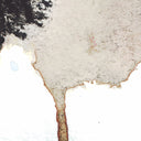 The Telescopes - The Living Things / Von Trier Flakes | Excellent (EX) Near Mint (NM)