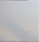 Back To Earth (BOX SET - EUROPE) | Near Mint (NM) Near Mint (NM)