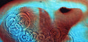 Pink Floyd - Meddle (VINYL) | Mint (M) Mint (M)