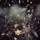 Until Silence [CD]