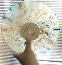 Rose City Band - Earth Trip (COLOR VINYL) | Mint (M) Mint (M)