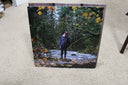 Rose City Band - Earth Trip (COLOR VINYL) | Mint (M) Mint (M)