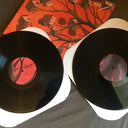 The Shadow Gallery | Mint (M) Near Mint (NM)