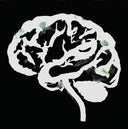 Ruins - Brain Flakes (The Lost Combo Tapes) |