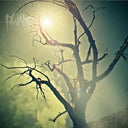 Rest (Mint & Swamp Green Splatter Lp) [2Lp] [Vinyl]