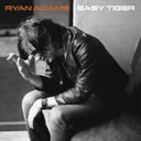 Easy Tiger (Limited Edition, Golden Transparent Orange Colored Vinyl) |