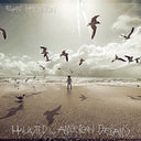 Ryan Hamilton - Haunted By American Dreams [Vinyl]