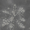 Music For Melted Floors |