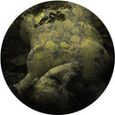 Salva - Yellobone - 12 | Mint (M) Mint (M)