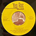 Mind Gardens (7" VINYL) | Mint (M) Mint (M)