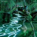 Sam Lee - Songdreaming (Green VINYL) | Mint (M) Mint (M)