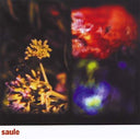 SAULE - Saule |
