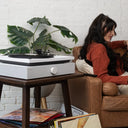 SpinBase 2 Powered Turntable Speaker