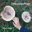 SCHLAMMPEITZIGER - What's Fruit? |
