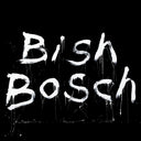 Scott Walker - Bish Bosch (2xVINYL) | Mint (M) Mint (M)