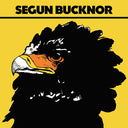 SEGUN BUCKNOR - Segun Bucknor |
