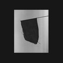 The Prey and The Ruler [CD]