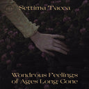 SETTIMA TACCA - Wondrous Feelings of Ages Long Gone [Vinyl]