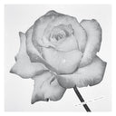 For Lovers Only / Rain Suite |