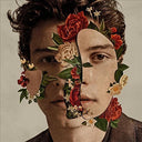Shawn Mendes - Shawn Mendes (Standard Edition) | Mint (M) Mint (M)