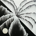 Shlohmo - Heaven Inc. | Mint (M) Mint (M)