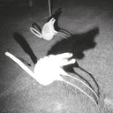 Siavash Amini - A Mimesis of Nothingness [Import] (WHITE VINYL) | Mint (M) Mint (M)