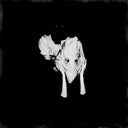 Kveikur (RSD 4.22.23) [Vinyl]
