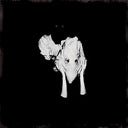 Sigur Rós - Kveikur [Vinyl]
