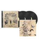 Sigur Rós - Takk... 20th Anniversary Remaster (RSD INDIE EX VINYL) | Mint (M) Mint (M)