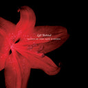 Left Behind: Songs of the 1916 Widows [CD]