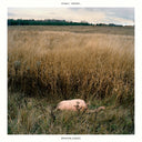 Brokenlegged [CD]