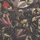 SKALLANDER - Skallander |